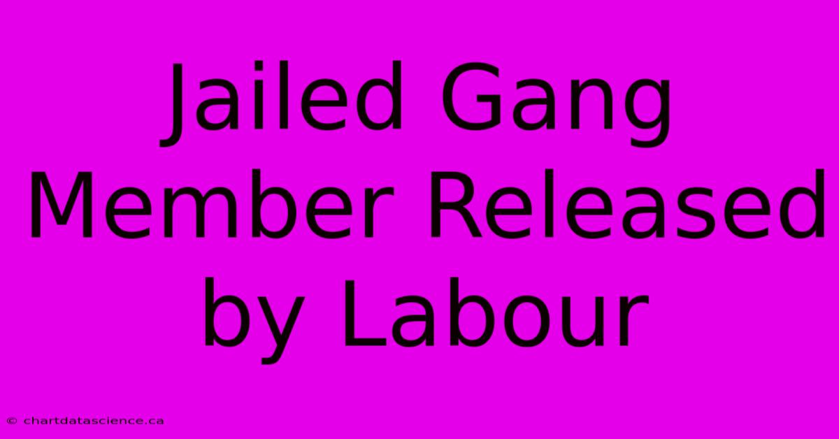 Jailed Gang Member Released By Labour