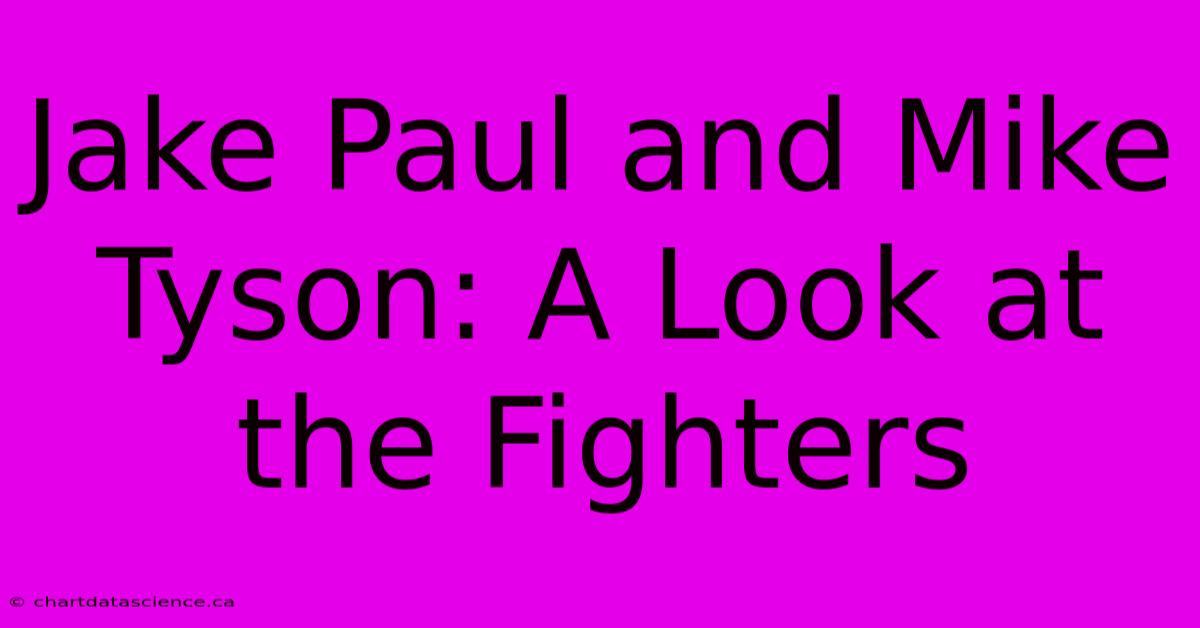 Jake Paul And Mike Tyson: A Look At The Fighters