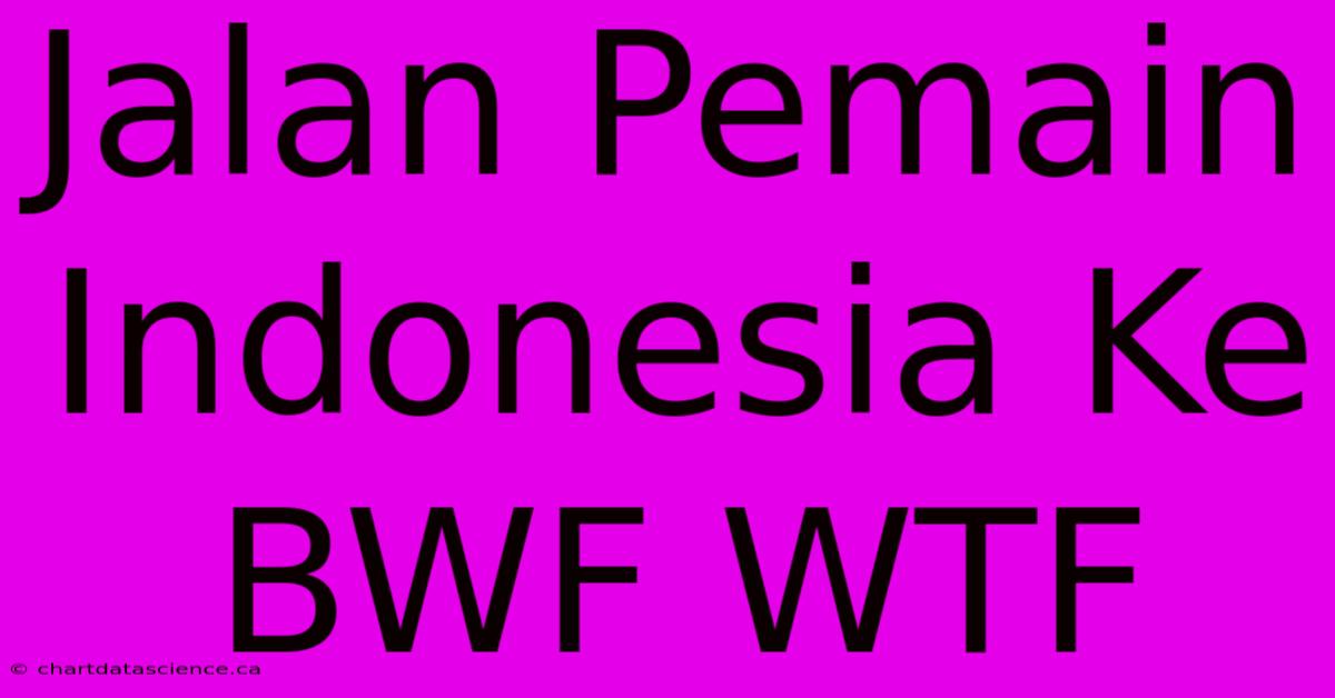 Jalan Pemain Indonesia Ke BWF WTF