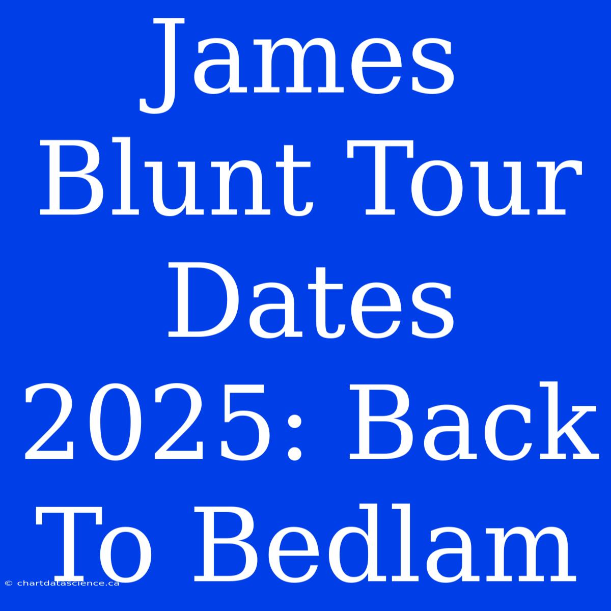 James Blunt Tour Dates 2025: Back To Bedlam