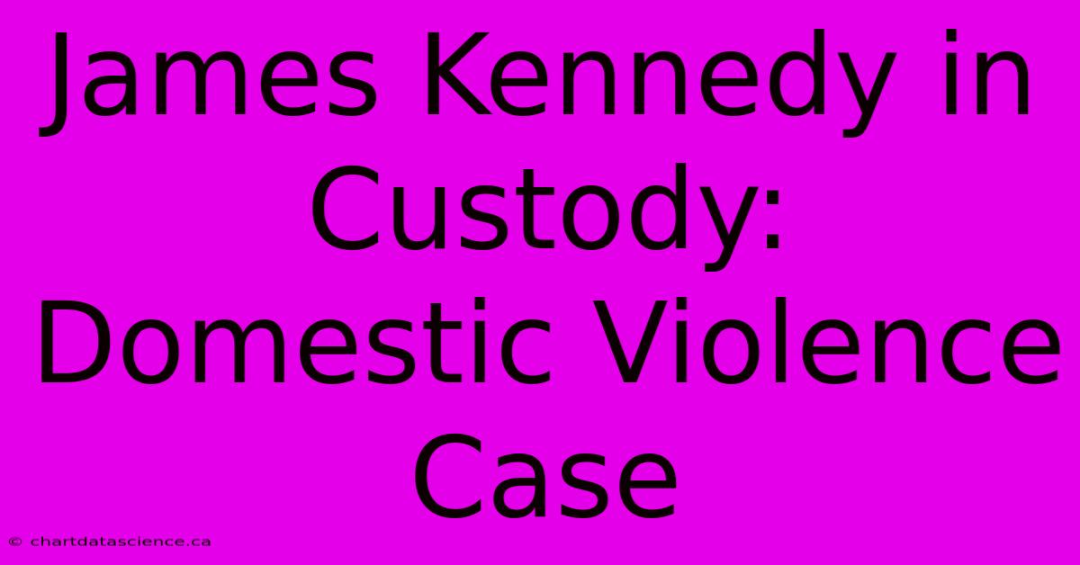 James Kennedy In Custody: Domestic Violence Case