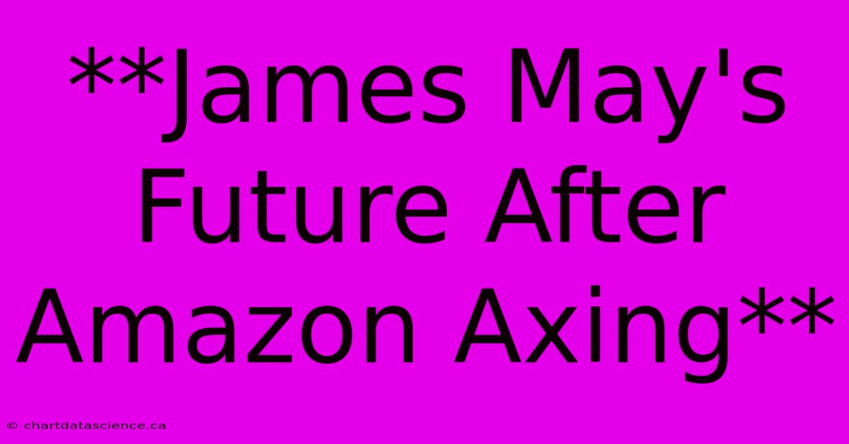 **James May's Future After Amazon Axing** 