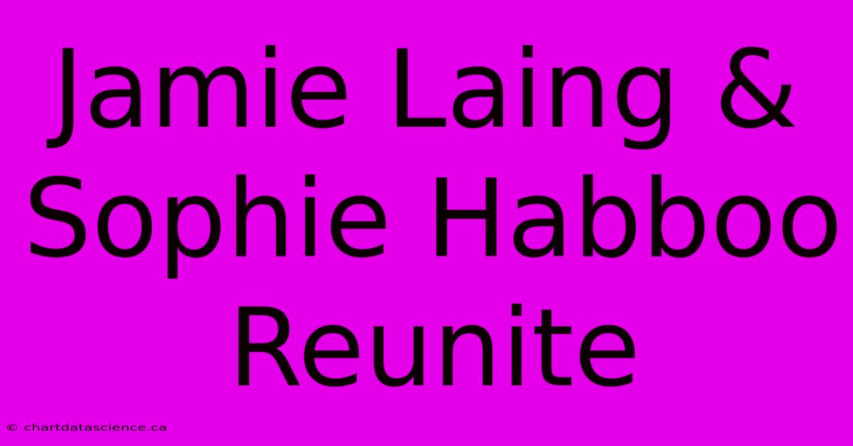 Jamie Laing & Sophie Habboo Reunite