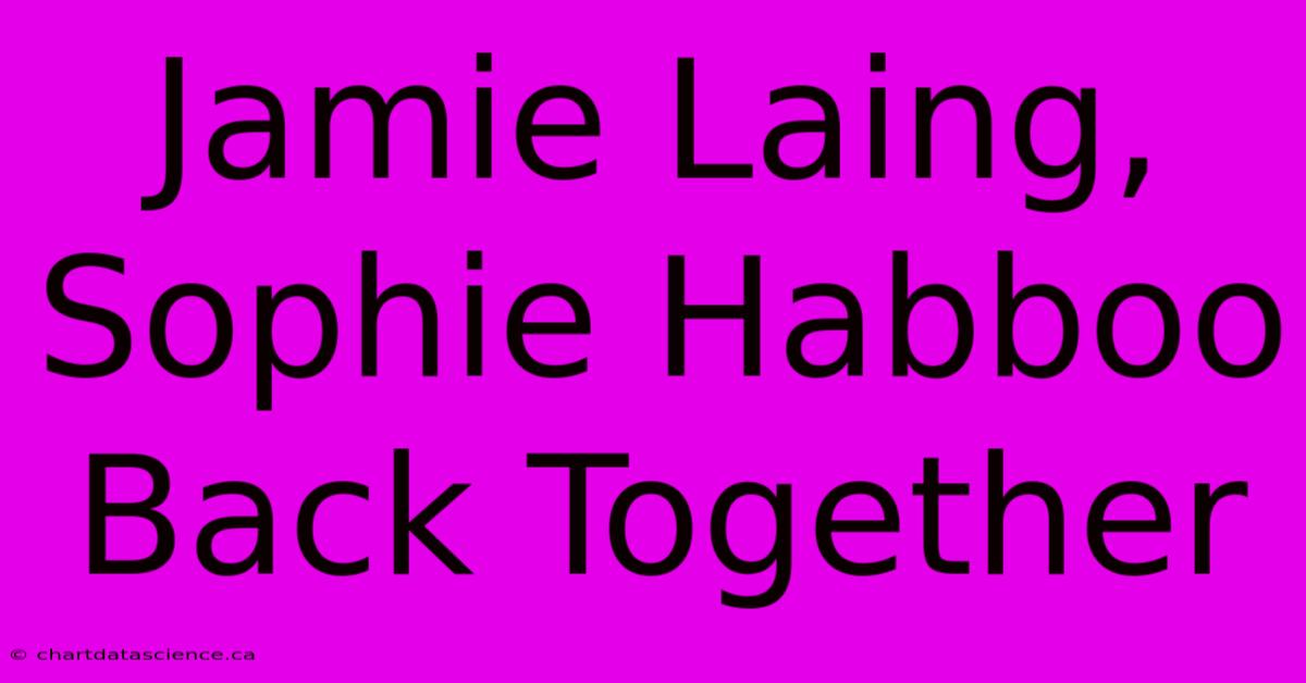 Jamie Laing, Sophie Habboo Back Together