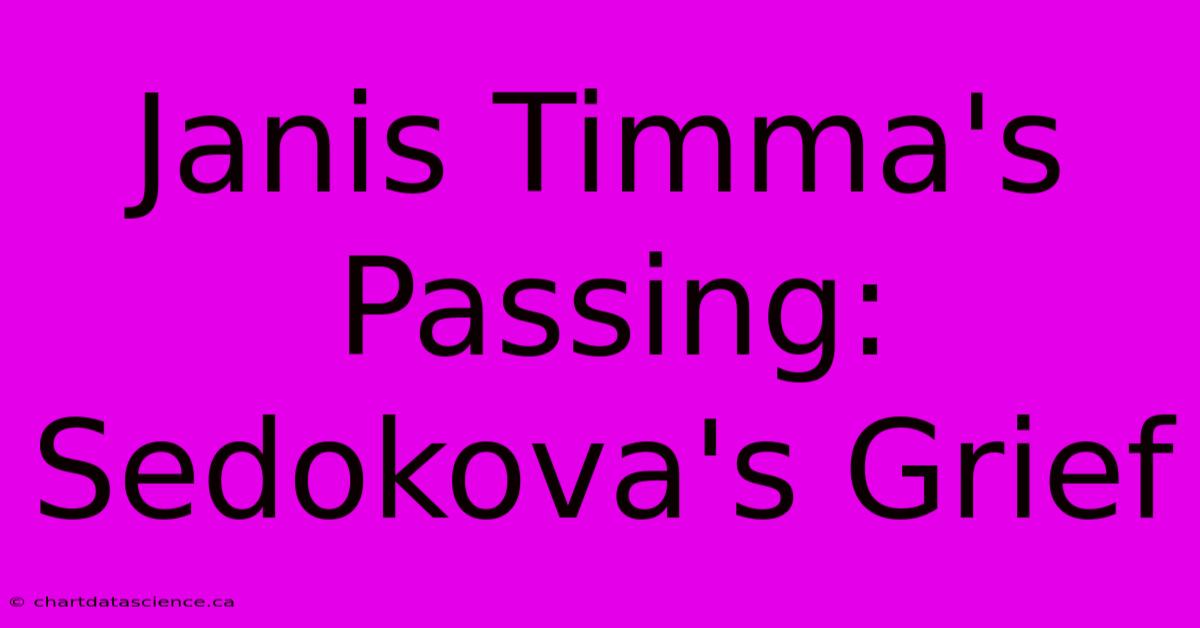 Janis Timma's Passing: Sedokova's Grief