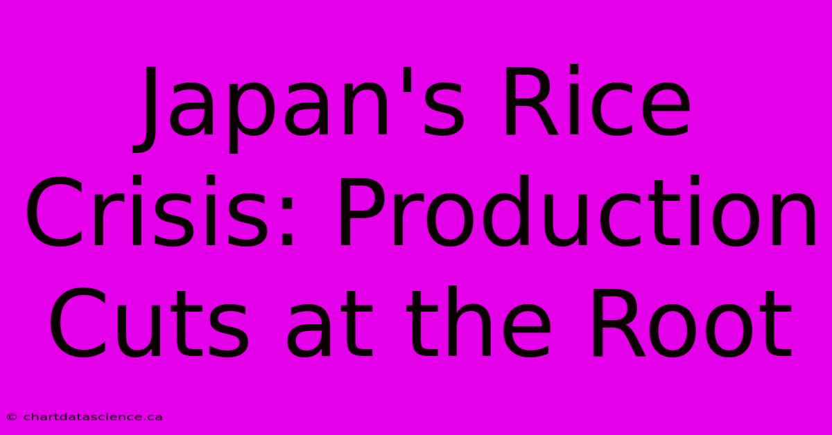 Japan's Rice Crisis: Production Cuts At The Root 