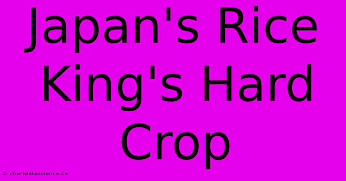 Japan's Rice King's Hard Crop