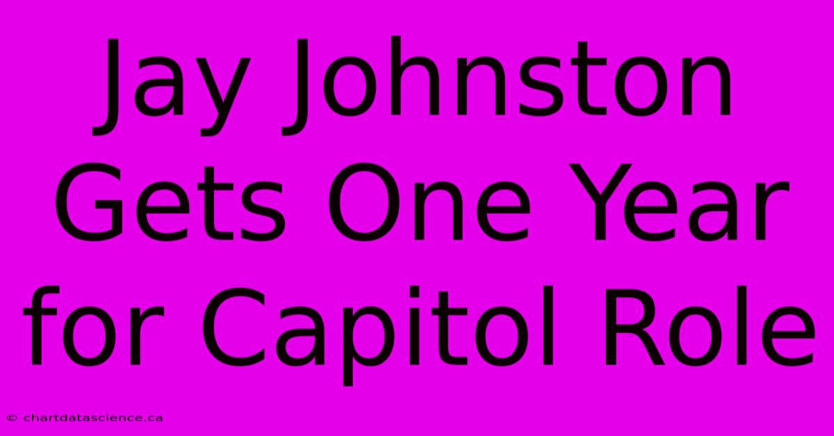 Jay Johnston Gets One Year For Capitol Role