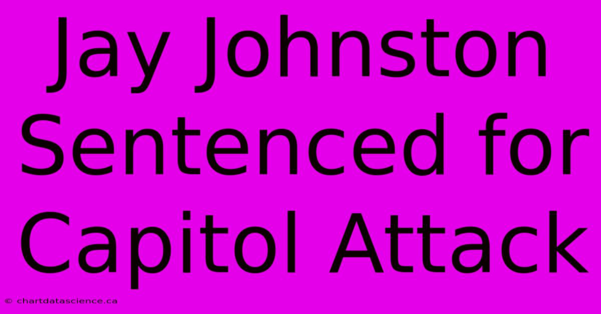 Jay Johnston Sentenced For Capitol Attack