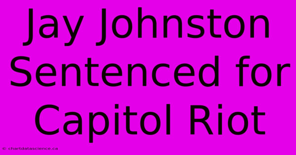 Jay Johnston Sentenced For Capitol Riot