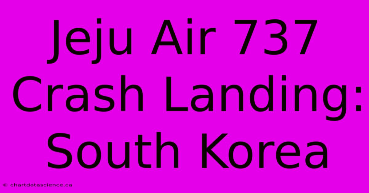 Jeju Air 737 Crash Landing: South Korea