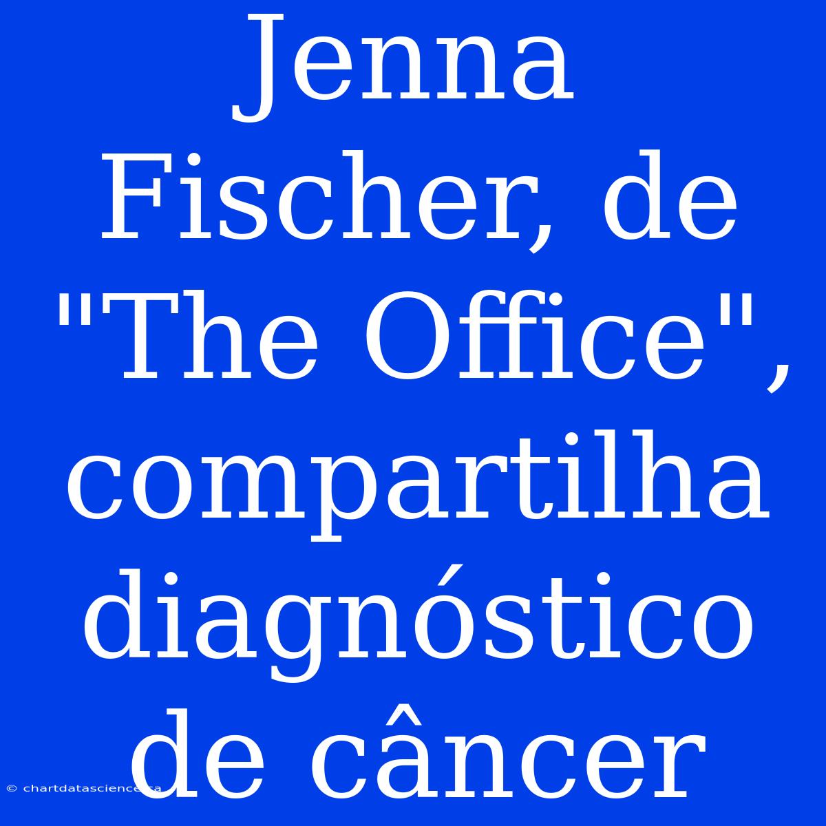 Jenna Fischer, De 