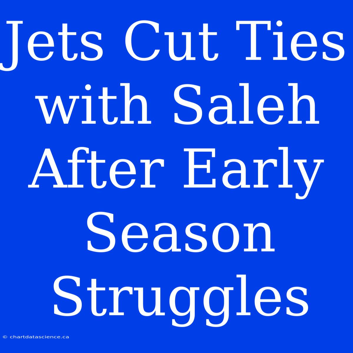 Jets Cut Ties With Saleh After Early Season Struggles