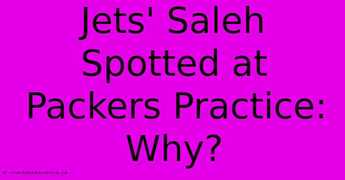 Jets' Saleh Spotted At Packers Practice: Why? 