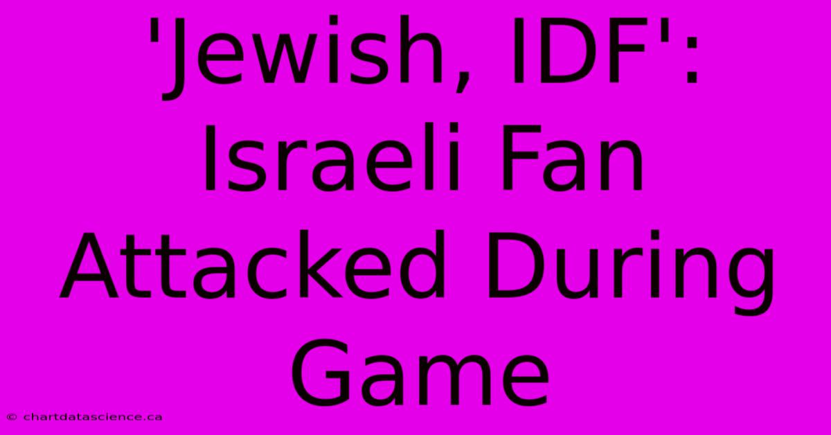 'Jewish, IDF': Israeli Fan Attacked During Game 