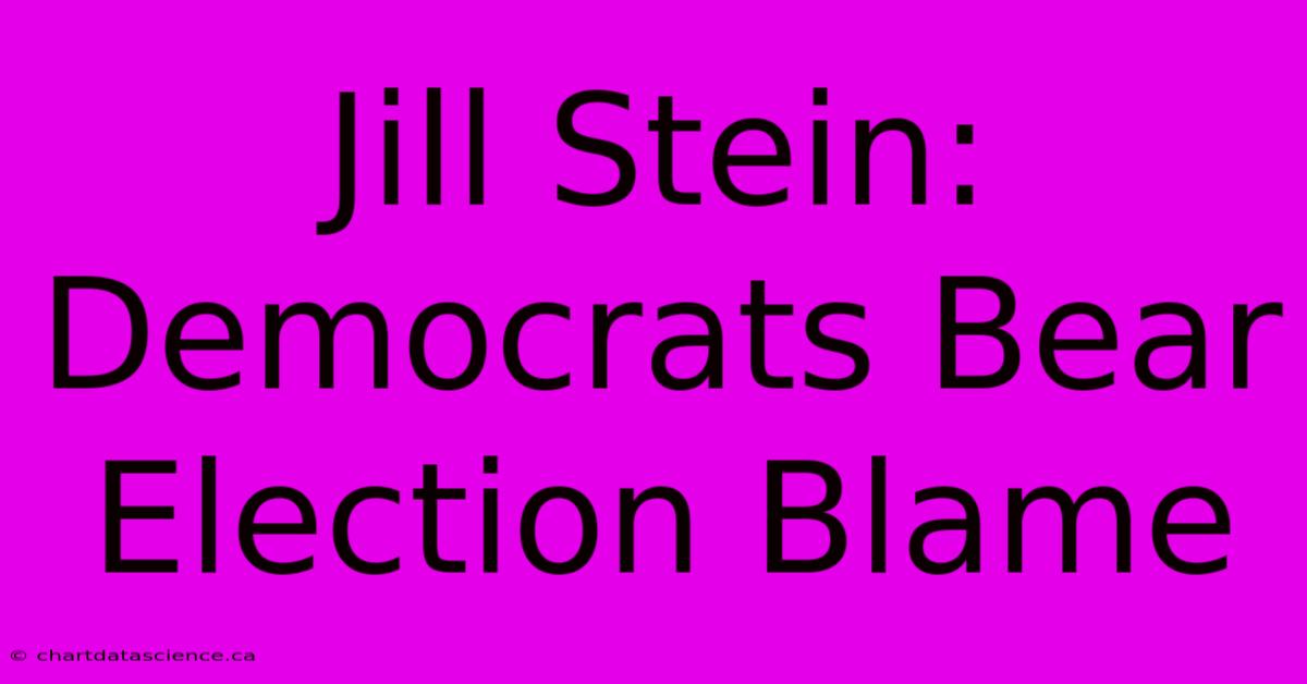 Jill Stein: Democrats Bear Election Blame 