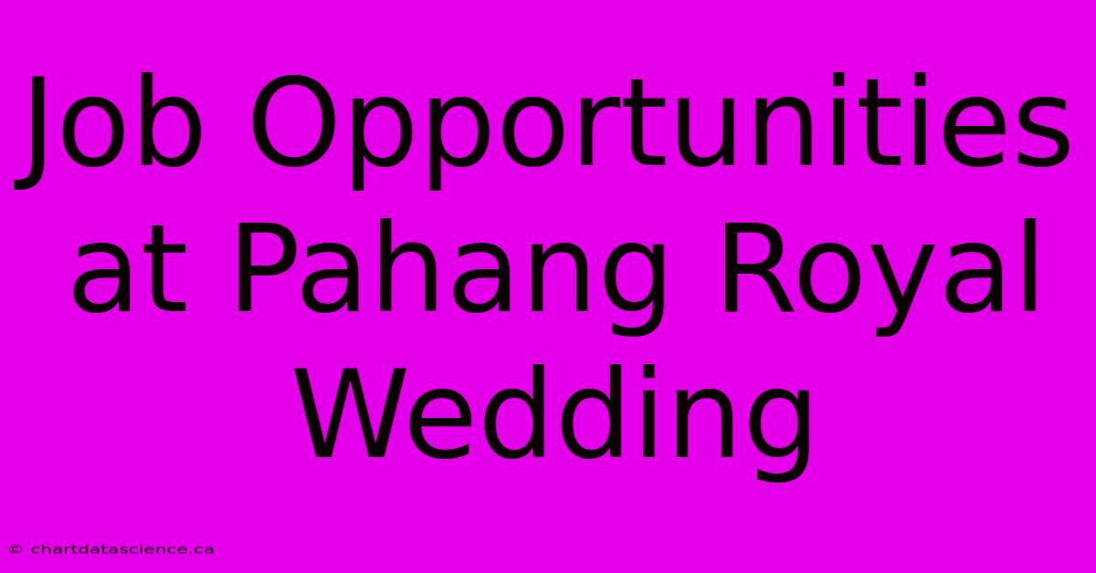 Job Opportunities At Pahang Royal Wedding