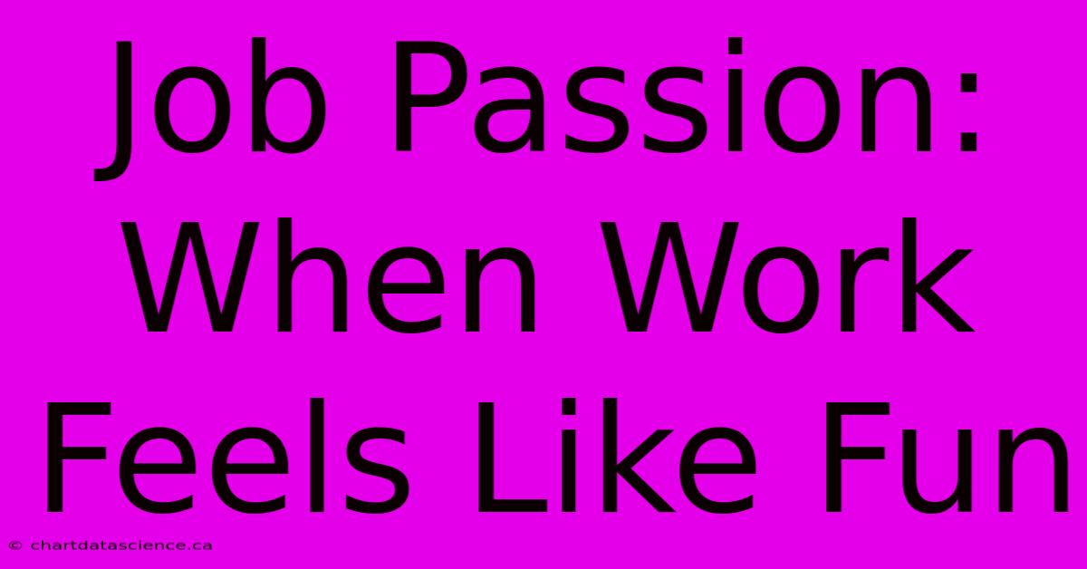 Job Passion: When Work Feels Like Fun