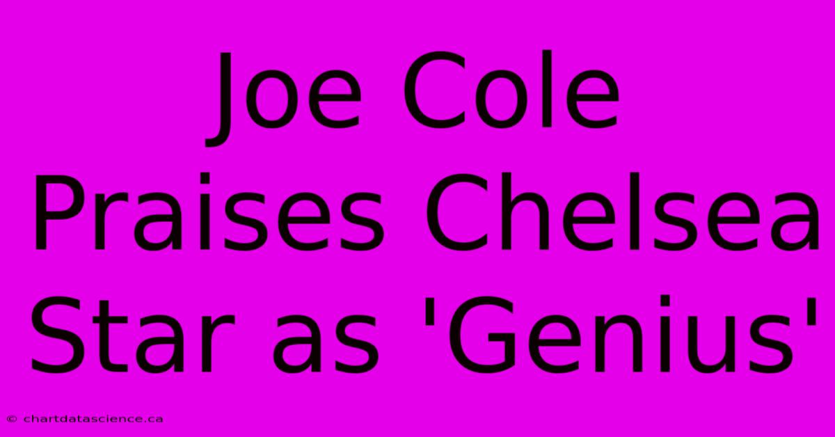 Joe Cole Praises Chelsea Star As 'Genius'