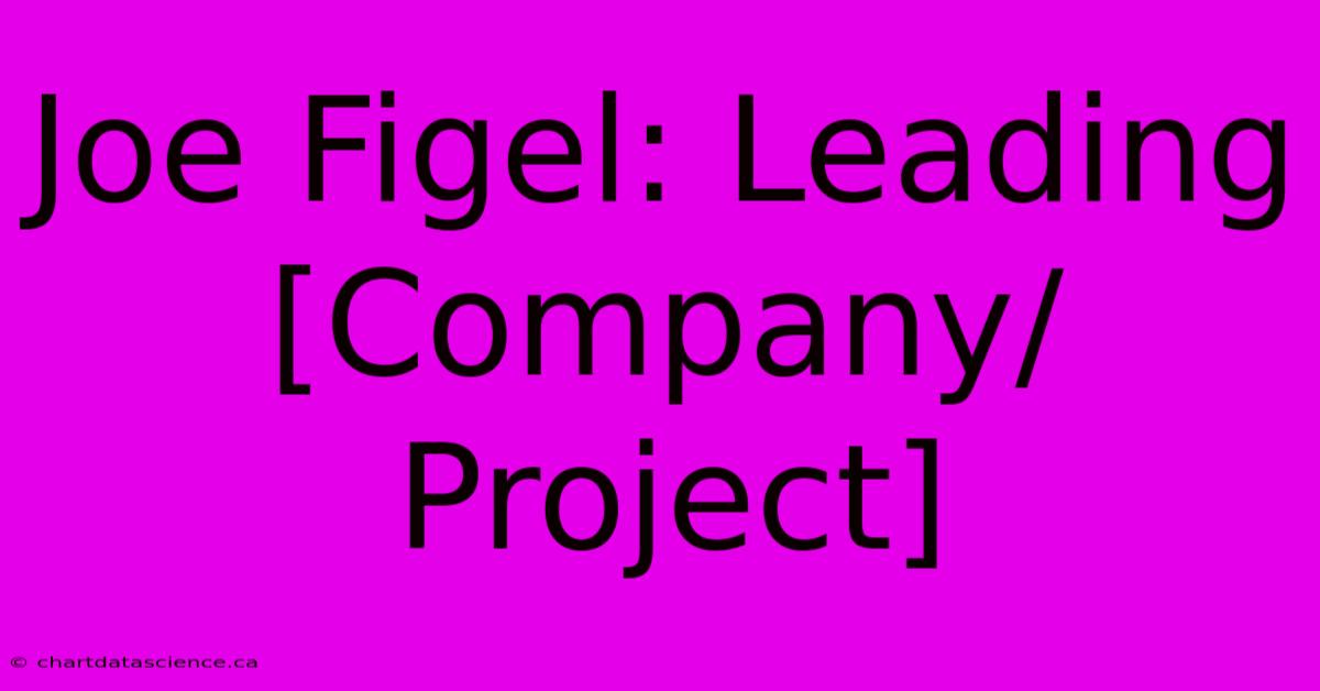 Joe Figel: Leading [Company/Project]