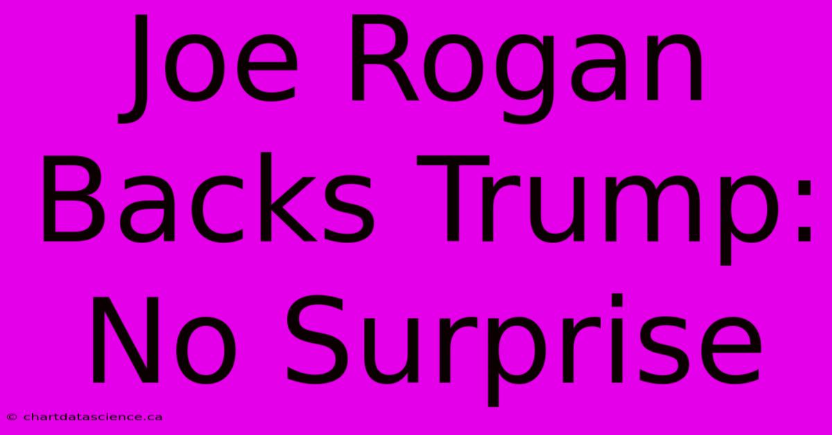 Joe Rogan Backs Trump: No Surprise