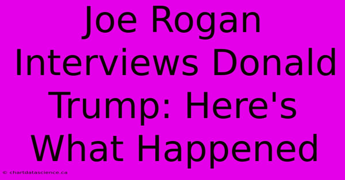 Joe Rogan Interviews Donald Trump: Here's What Happened