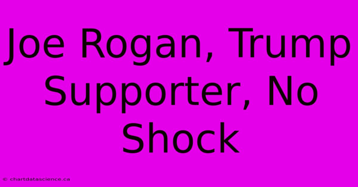 Joe Rogan, Trump Supporter, No Shock