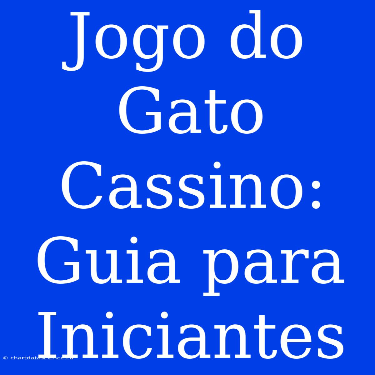 Jogo Do Gato Cassino: Guia Para Iniciantes