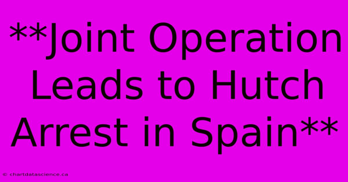 **Joint Operation Leads To Hutch Arrest In Spain**