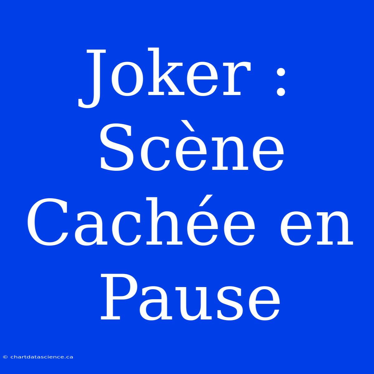 Joker : Scène Cachée En Pause