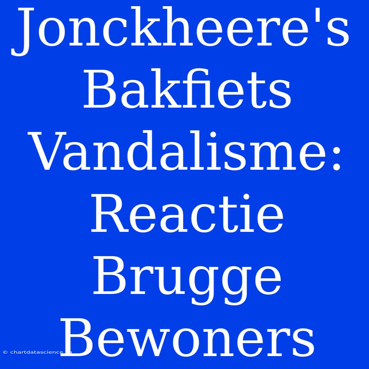 Jonckheere's Bakfiets Vandalisme: Reactie Brugge Bewoners