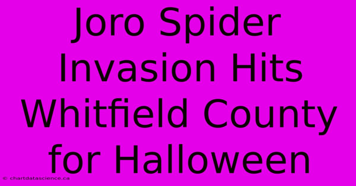 Joro Spider Invasion Hits Whitfield County For Halloween 