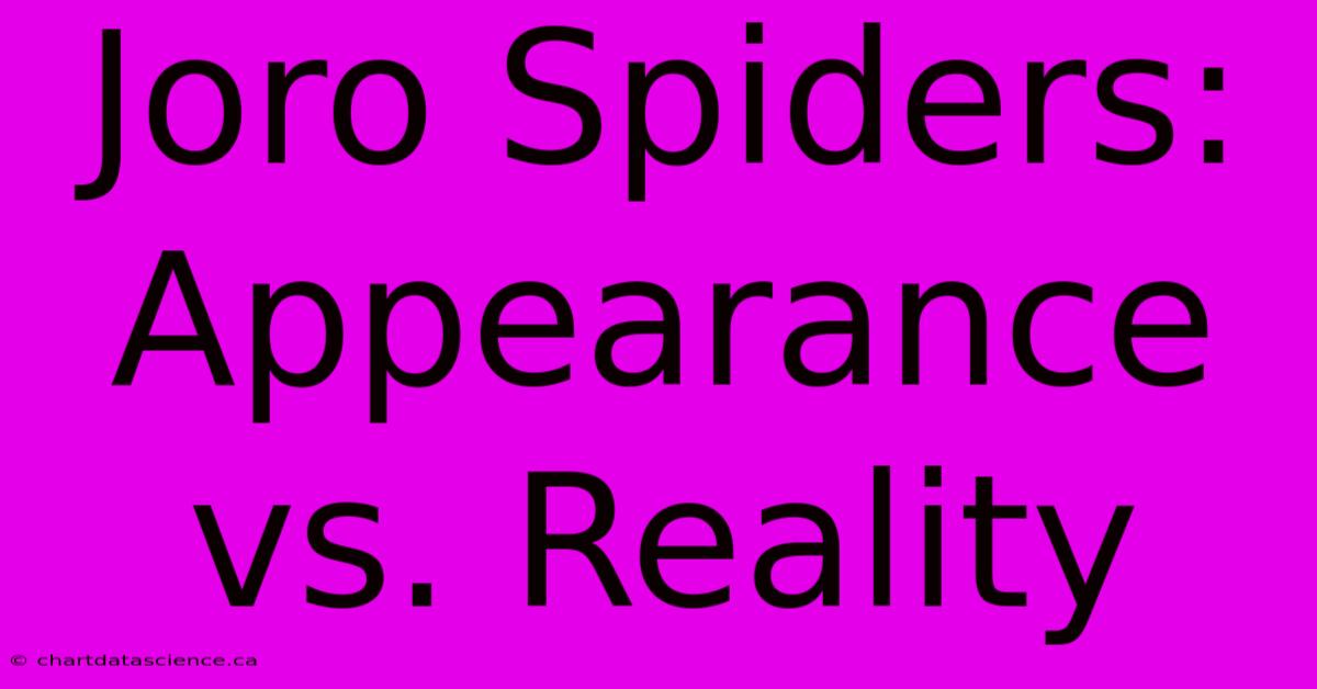 Joro Spiders: Appearance Vs. Reality