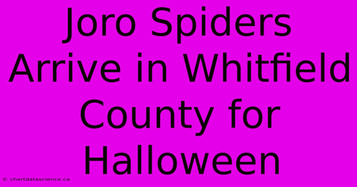 Joro Spiders Arrive In Whitfield County For Halloween