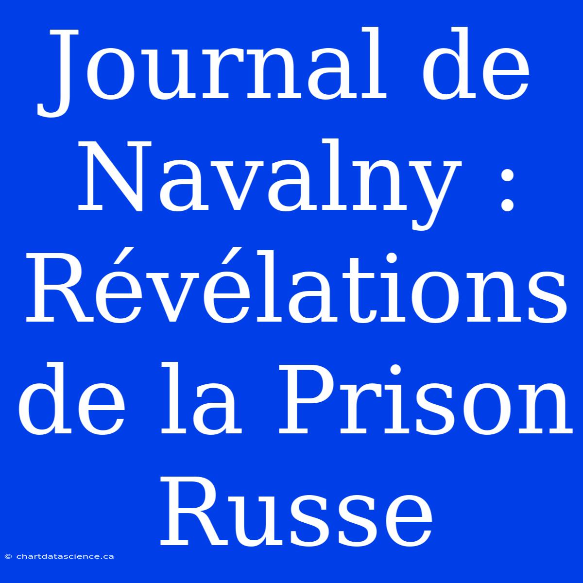 Journal De Navalny : Révélations De La Prison Russe