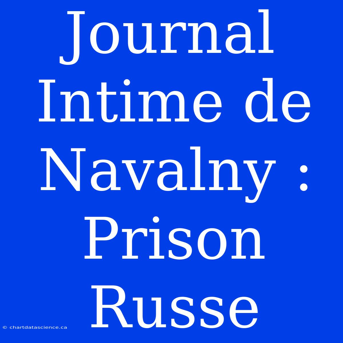 Journal Intime De Navalny : Prison Russe