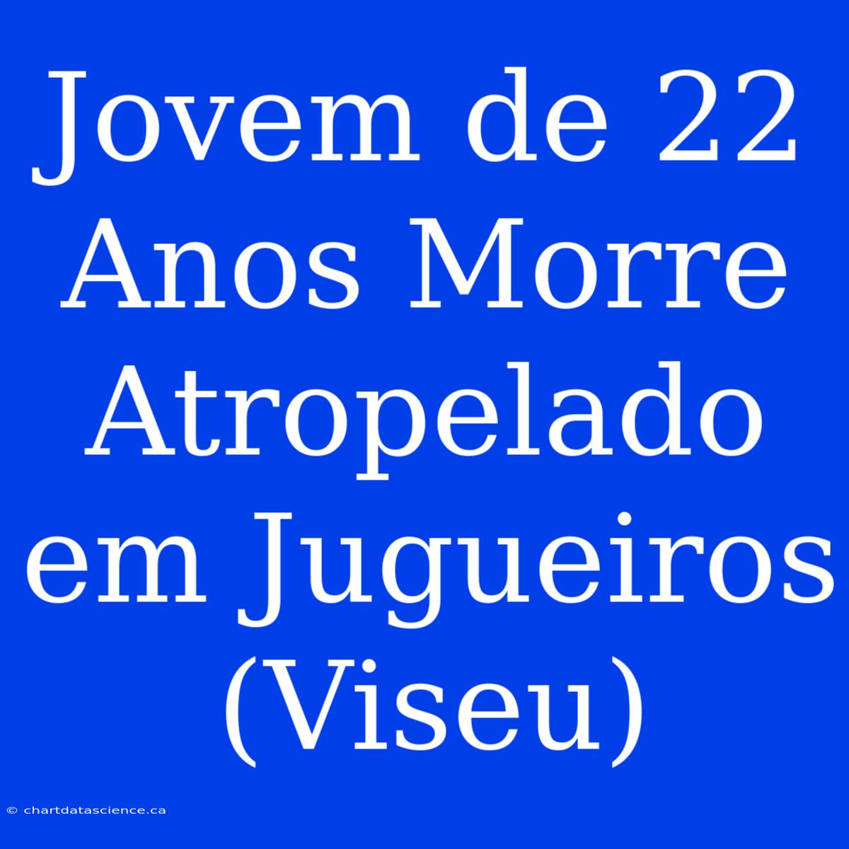 Jovem De 22 Anos Morre Atropelado Em Jugueiros (Viseu)