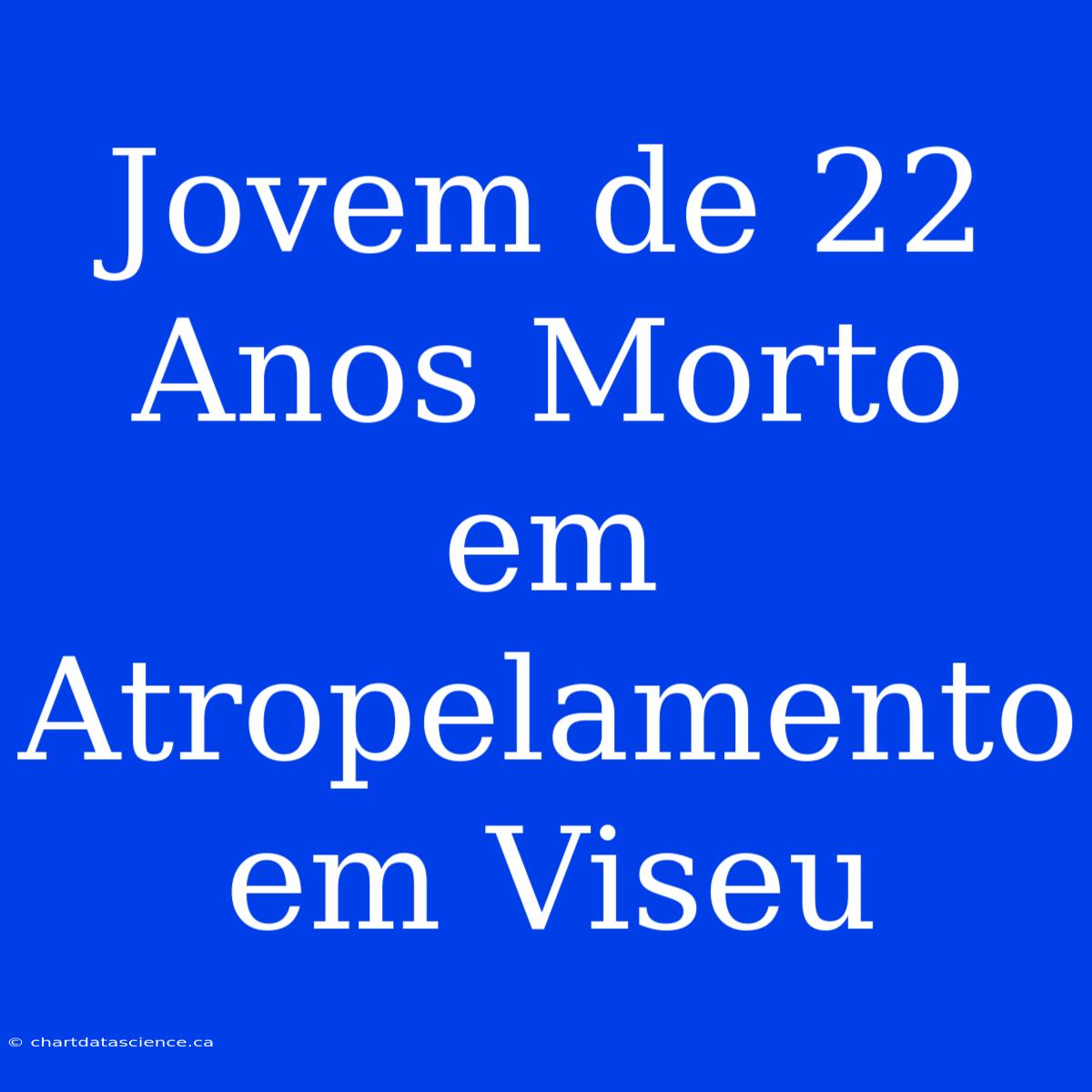 Jovem De 22 Anos Morto Em Atropelamento Em Viseu