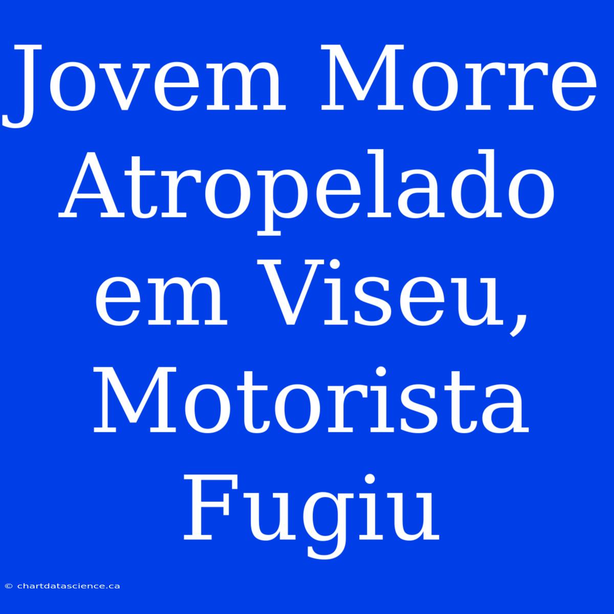 Jovem Morre Atropelado Em Viseu, Motorista Fugiu