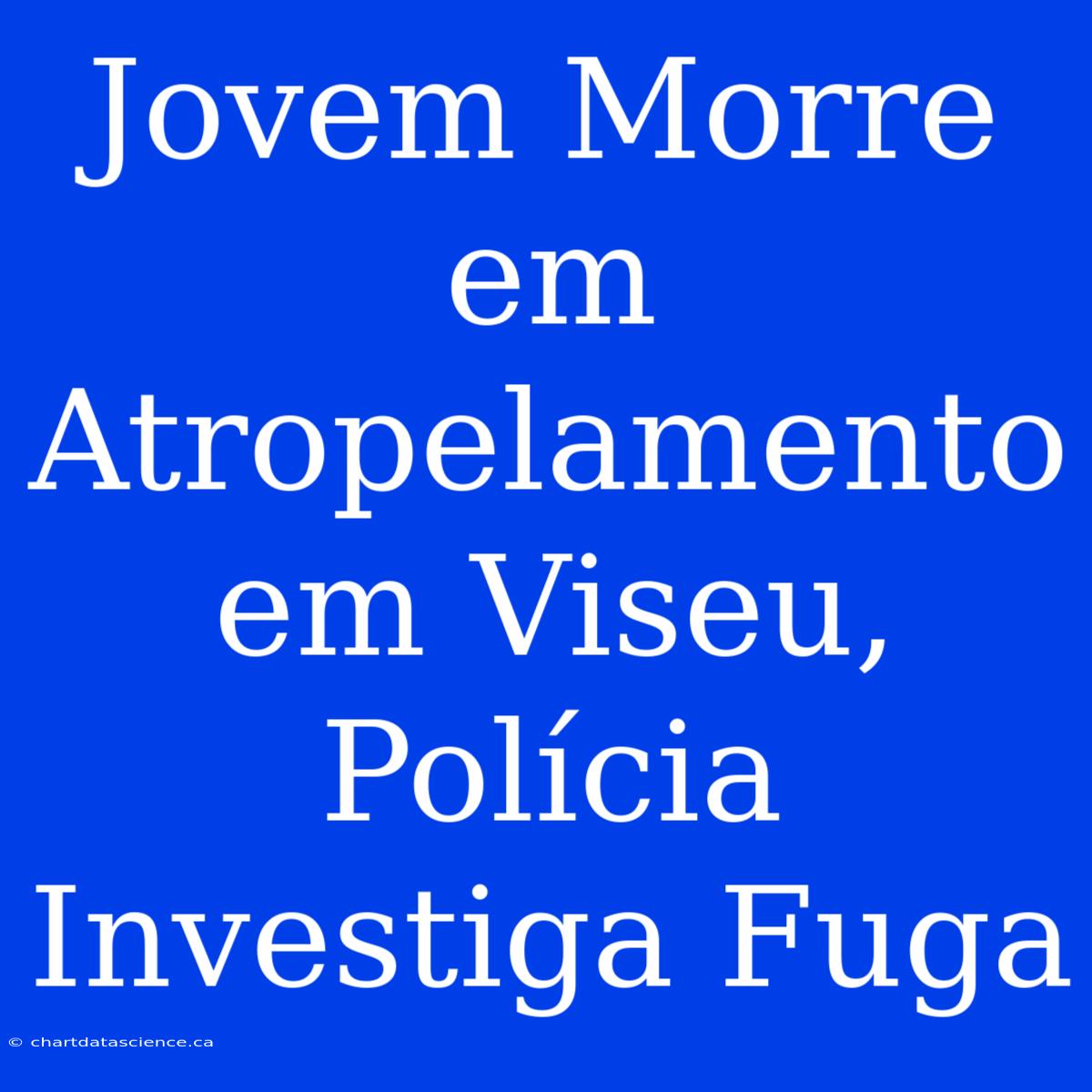 Jovem Morre Em Atropelamento Em Viseu, Polícia Investiga Fuga