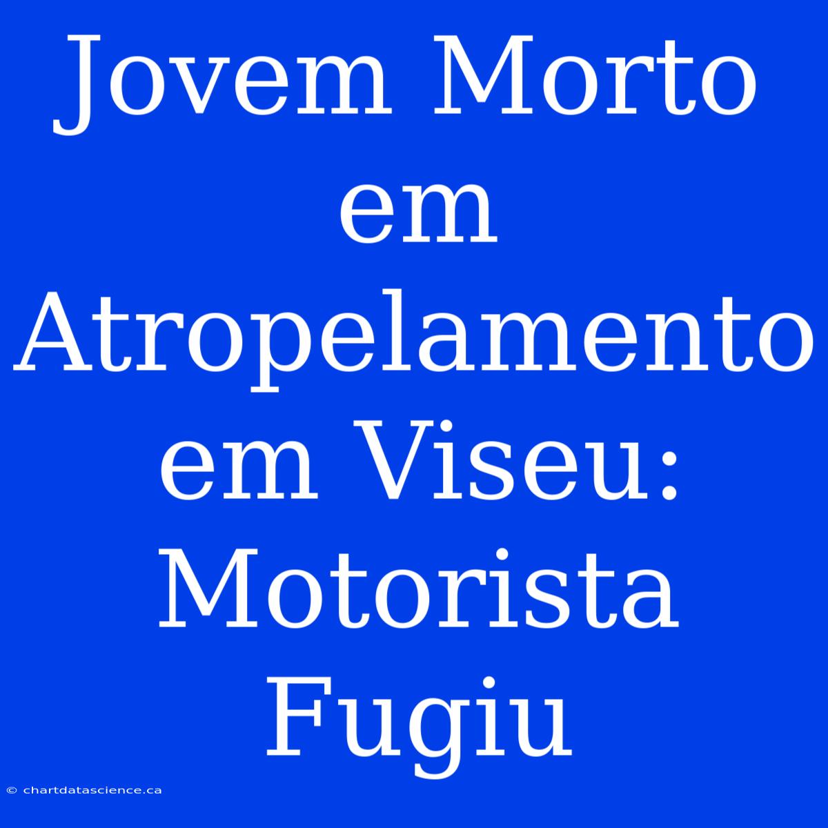 Jovem Morto Em Atropelamento Em Viseu: Motorista Fugiu