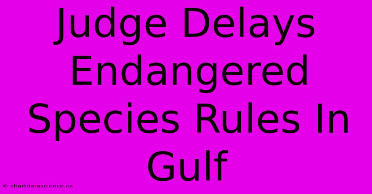 Judge Delays Endangered Species Rules In Gulf