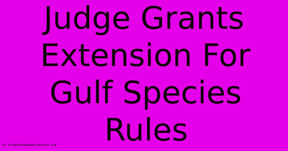 Judge Grants Extension For Gulf Species Rules 