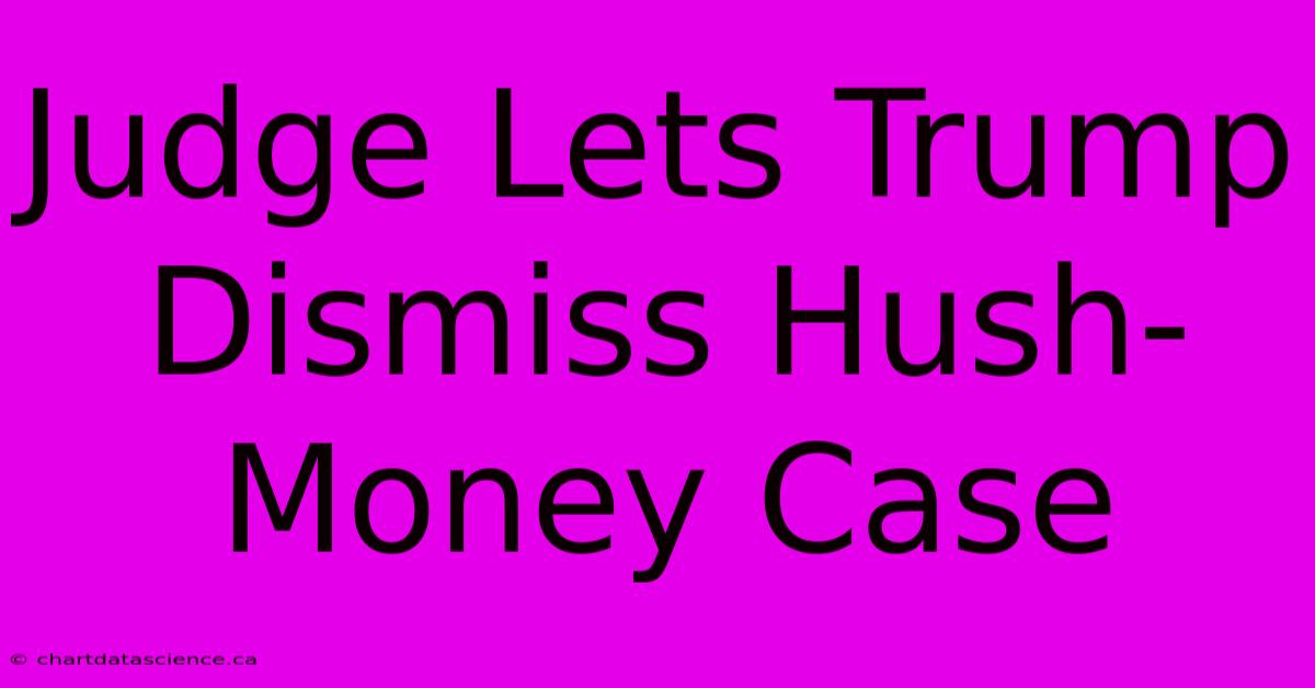 Judge Lets Trump Dismiss Hush-Money Case