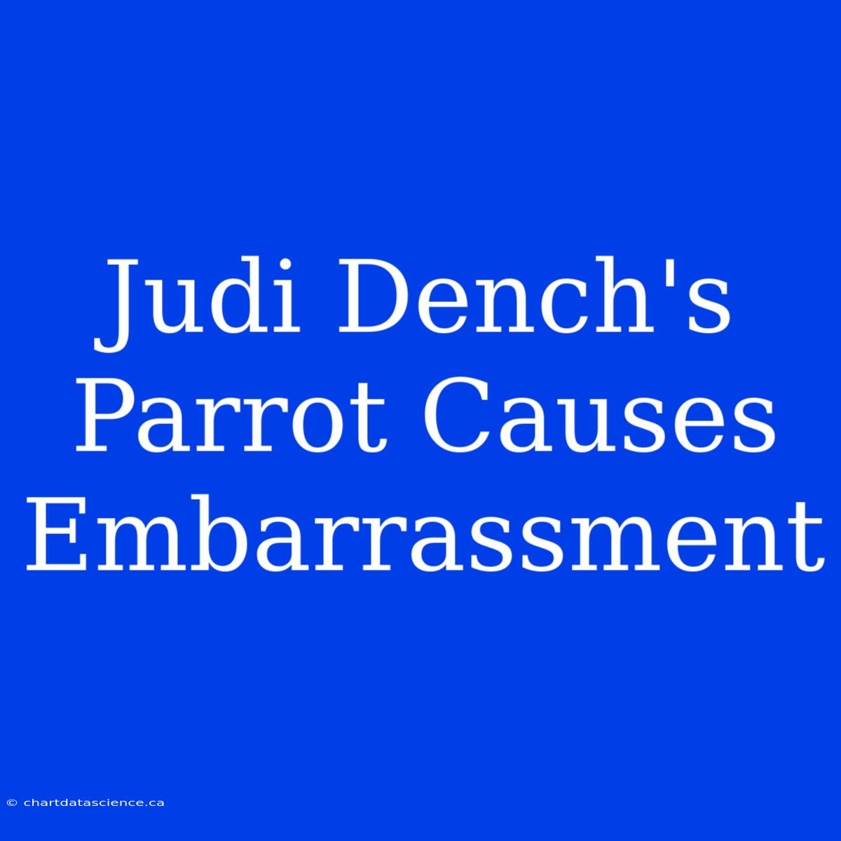 Judi Dench's Parrot Causes Embarrassment