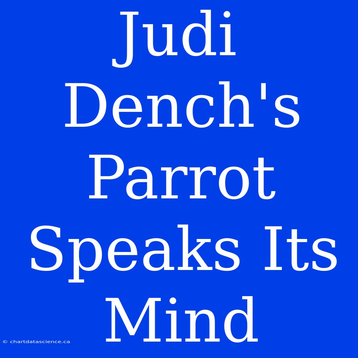 Judi Dench's Parrot Speaks Its Mind