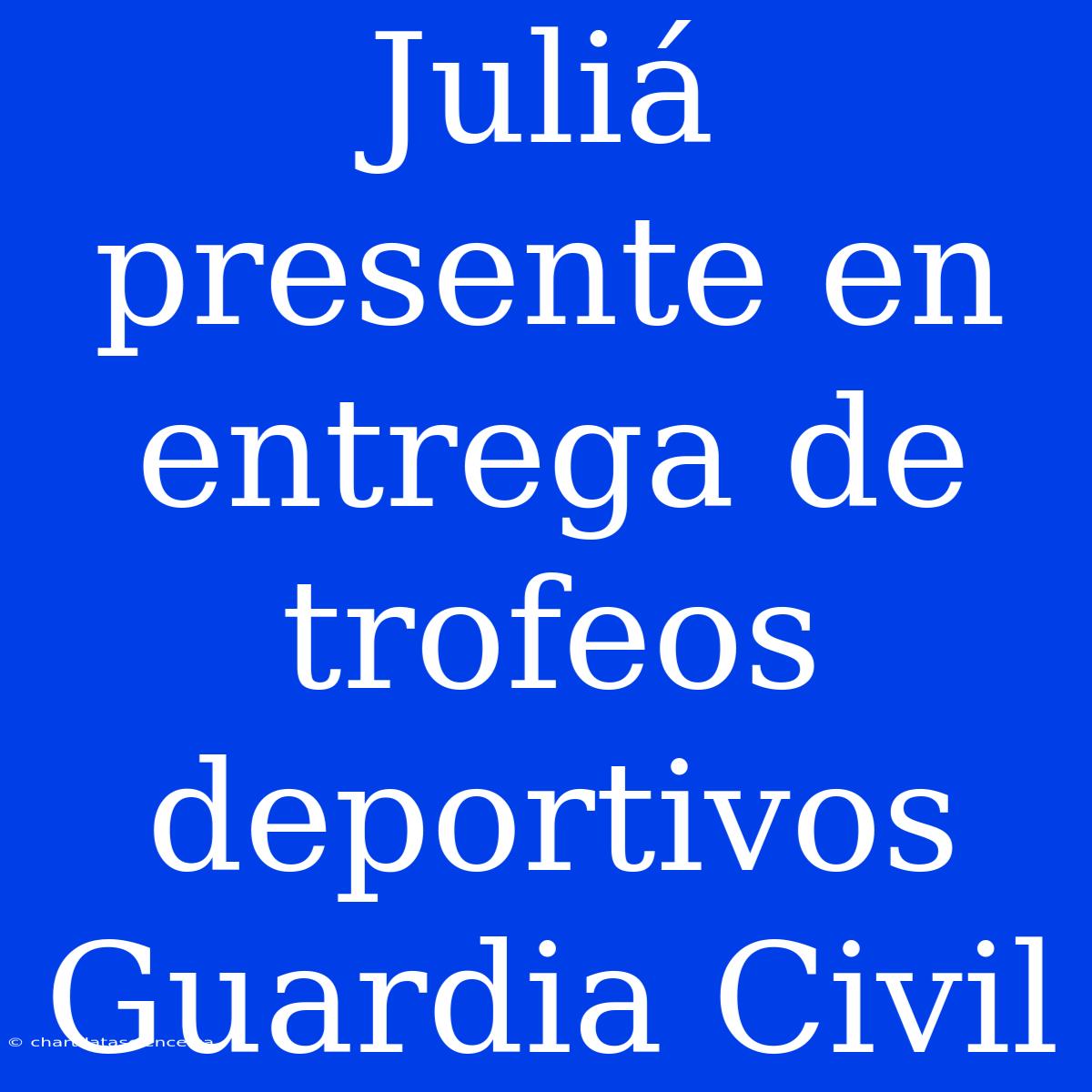 Juliá Presente En Entrega De Trofeos Deportivos Guardia Civil