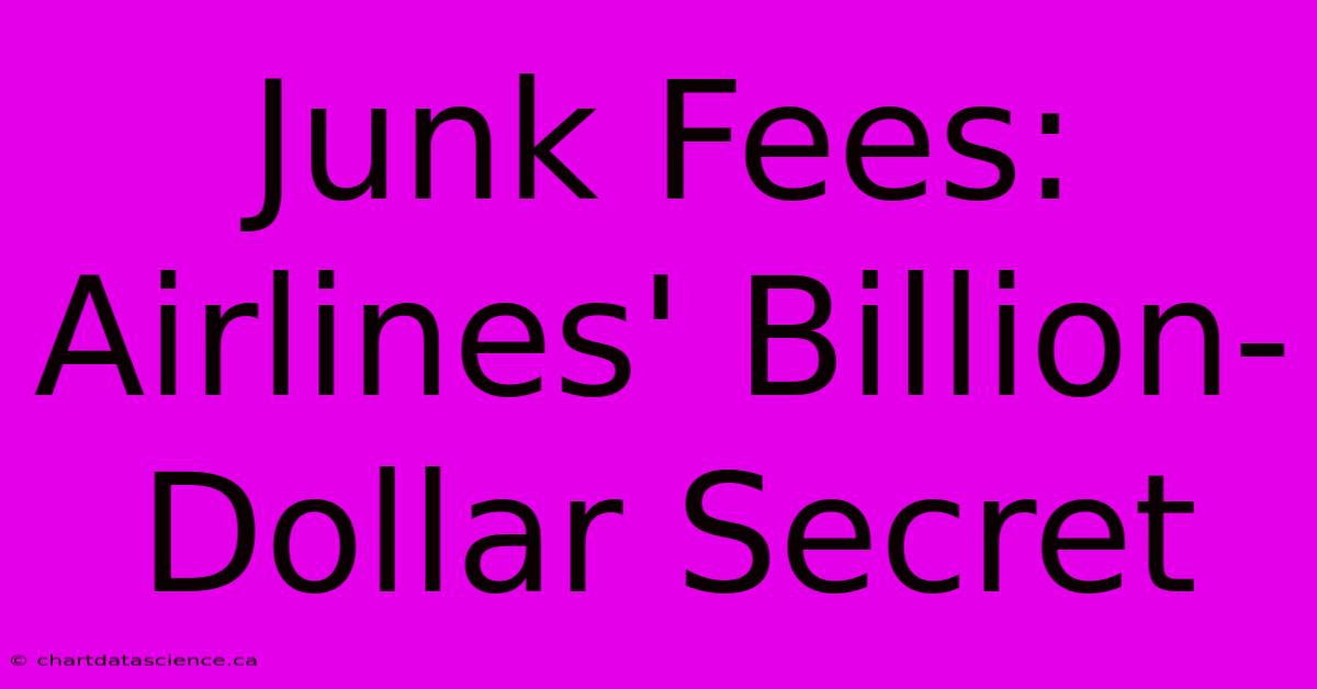 Junk Fees: Airlines' Billion-Dollar Secret