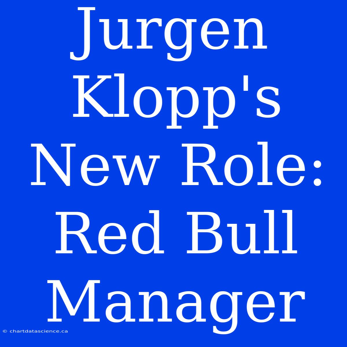 Jurgen Klopp's New Role: Red Bull Manager