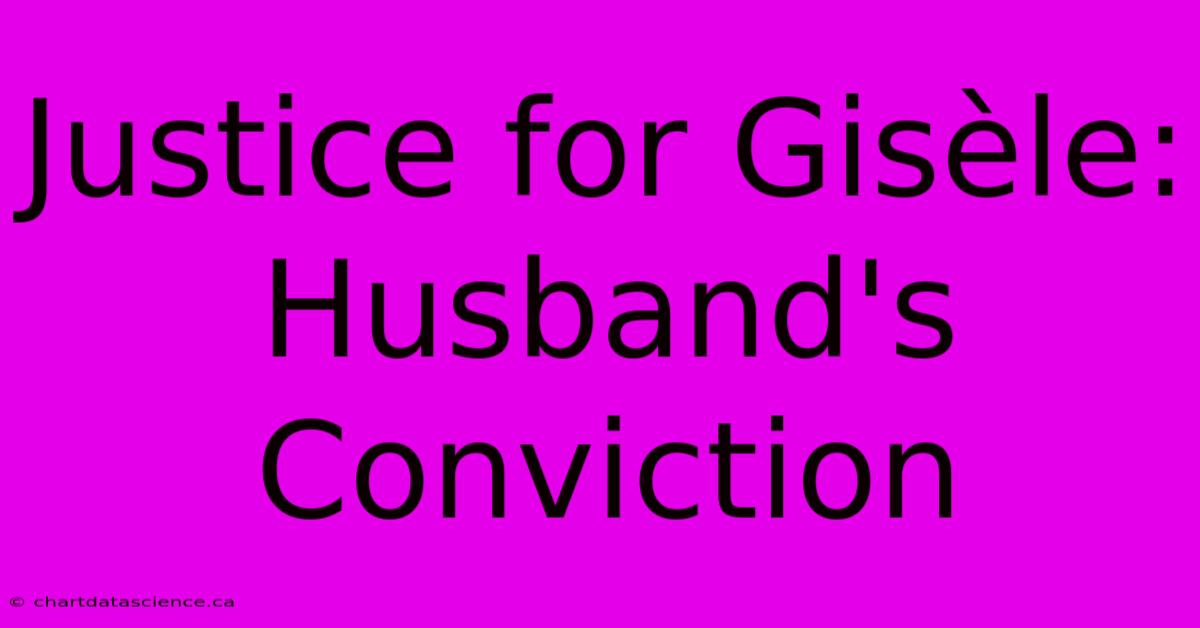 Justice For Gisèle: Husband's Conviction